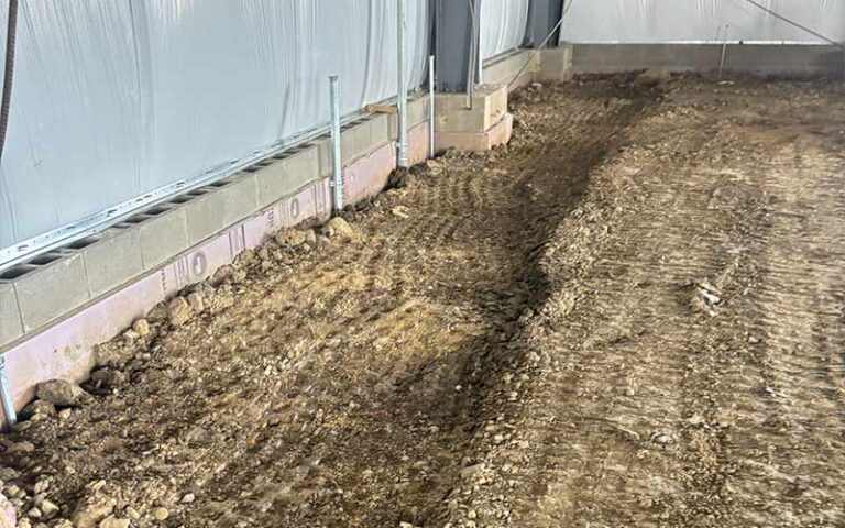 Back Fill